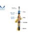 bilstein shock absorbers hyundai elantra 2018-20